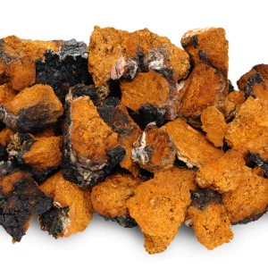 Dried Chaga Chunks