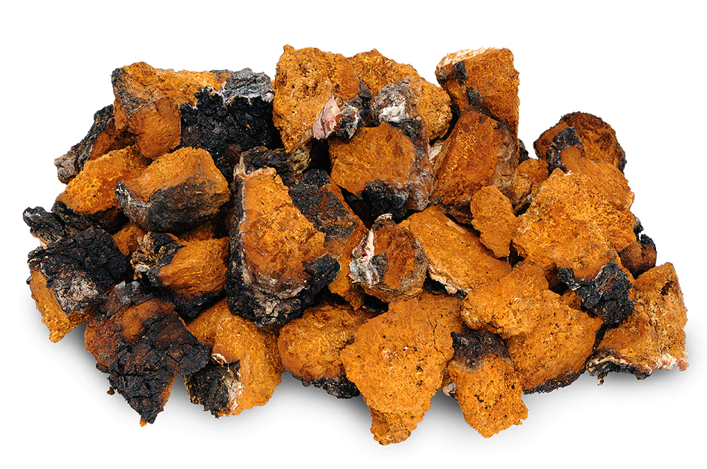 Dried Chaga Chunks