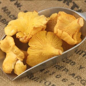 Girolle Mushrooms, Frozen