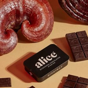 ALICE PSILOCYBIN MUSHROOM CHOCOLATE – MILK CHOCOLATE BUNNIES (2500MG)