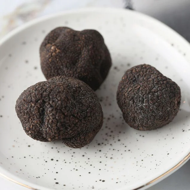 Fresh Black Winter Truffles, Australia, 4 oz