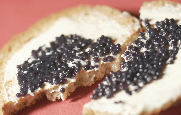 Paddlefish Caviar