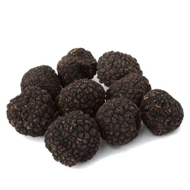 Fresh Black Burgundy Truffles (Tuber Uncinatum)