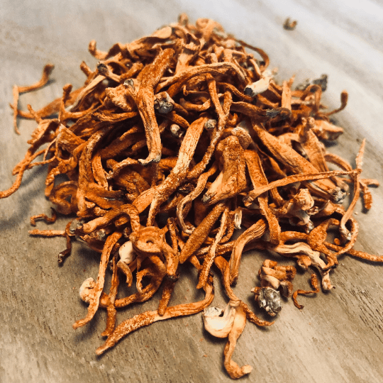 Dried Cordyceps