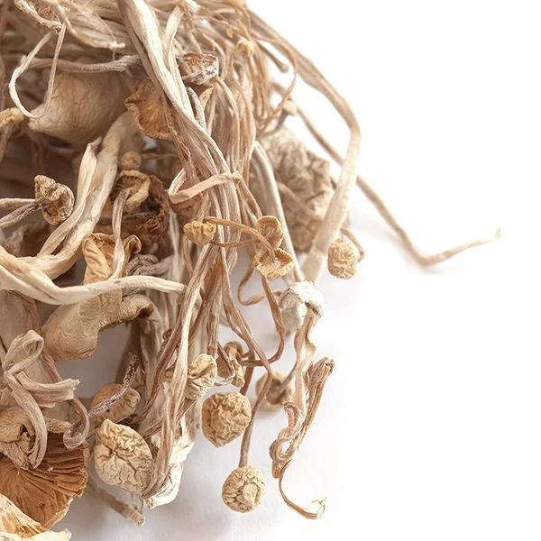 Enoki Mushrooms, Dried