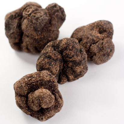 Frozen Black Périgord Truffles