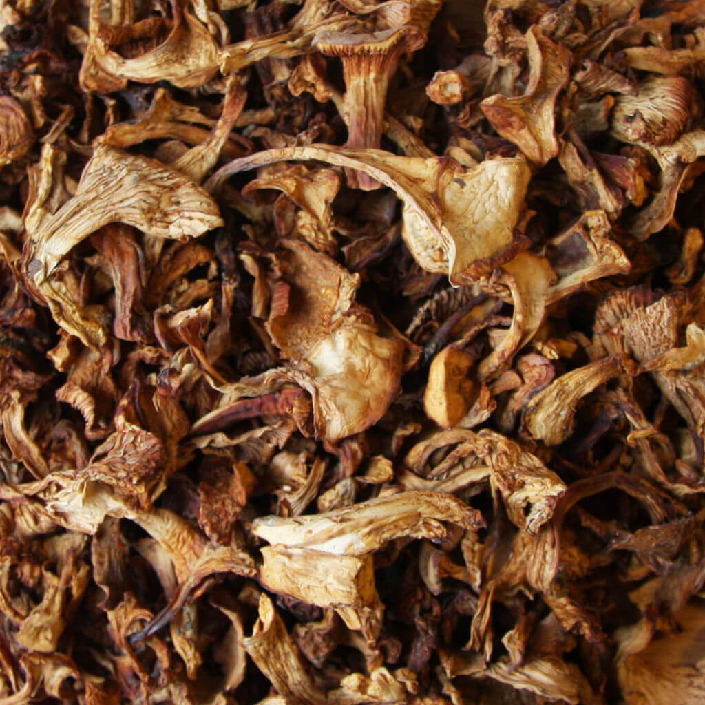 Girolle Mushrooms, Dried