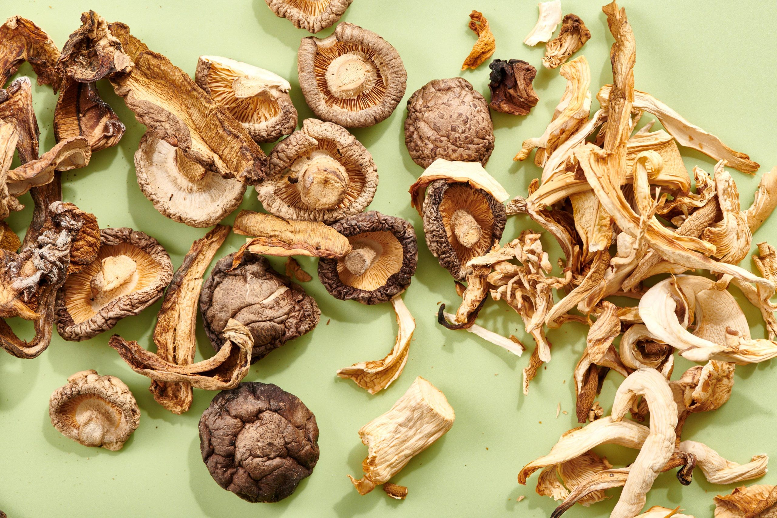 Dried Mushrooms