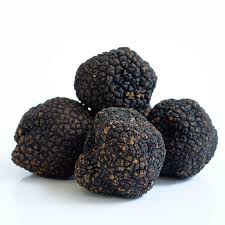 Black Summer Truffle