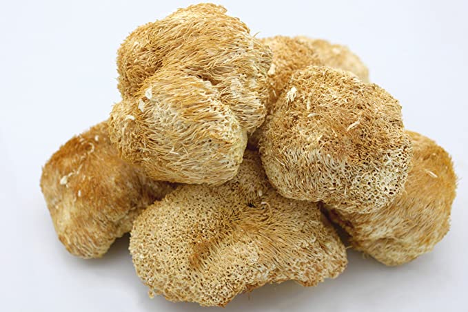 Lion's Mane Mushrooms