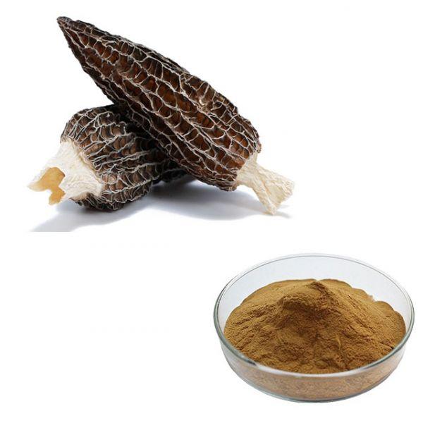 Morel Powder