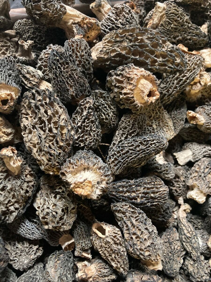 dried wild greys