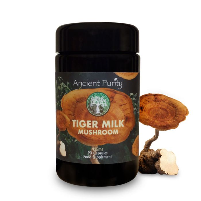 Tiger Milk Mushroom